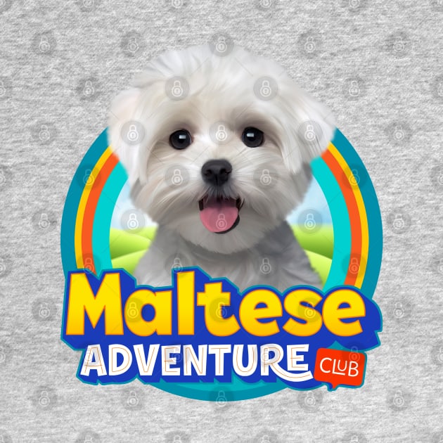 Maltese dog by Puppy & cute